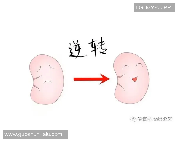 加强体育锻炼对提升肾功能的积极影响及其科学依据探讨